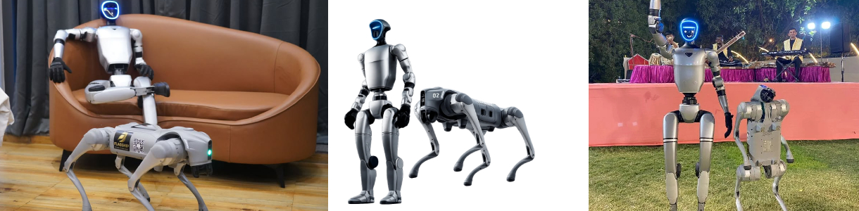 Flagship Robots India cover
