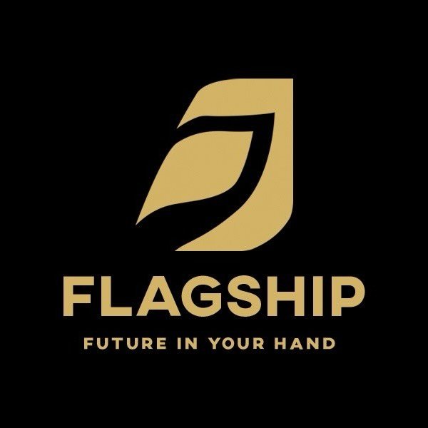 Flagship Robots India