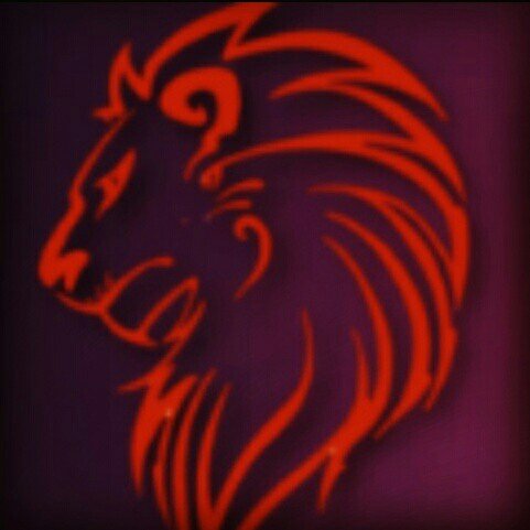 Indian Roar LLP