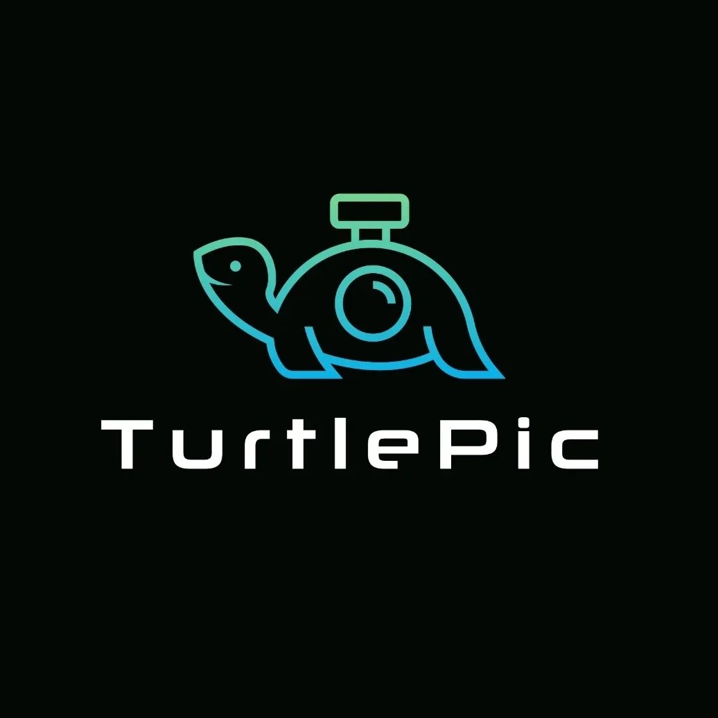 Turtle Pic